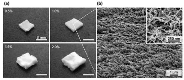東京大學制備出一種隔熱、阻燃的中孔納米纖維素干凝膠